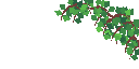 Surface In
